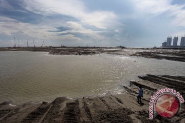 Anggota DPR minta reklamasi teluk Jakarta dihentikan