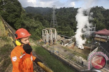 Presiden diharapkan selamatkan aset panas bumi