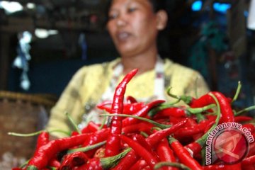 Harga cabai merah naik drastis, di sini tembus Rp80 ribu per kg