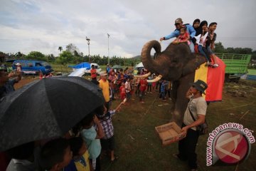 Pengunjung keluhkan tarif naik gajah Way Kambas