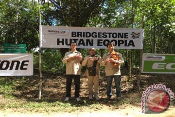 Bridgestone lanjutkan donasi untuk dua orangutan di Samboja