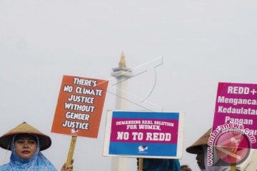 Hentikan Program REDD Di Indonesia