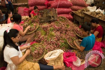 Mentan: harga bawang sudah turun