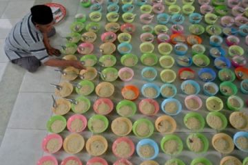 MENU BUBUR INDIA