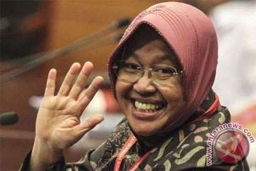 RAR nilai Risma layak maju Pilkada Jakarta