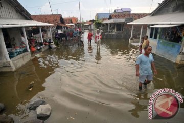 Puluhan kios dan rumah rusak diterjang air rob di Cianjur