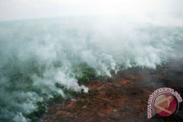 Pelaku pembakar lahan dipublikasikan di media