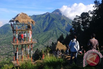 Pelaku usaha dari Skandinavia tanam pohon di Gunung Merapi