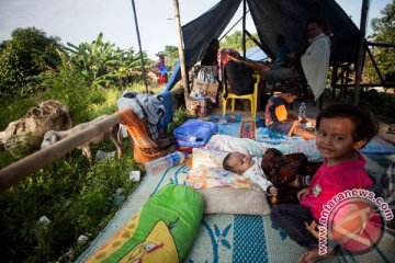 Ratusan hektare sawah di Bojonegoro terendam banjir