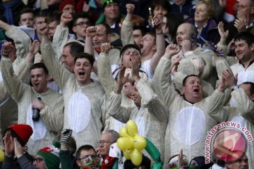 Euro 2016: Pendukung Wales larut dalam ekstasi
