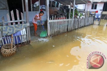 Banjir rob landa Aceh Barat