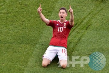 Euro 2016 - Zoltan Gera, si tua-tua keladi