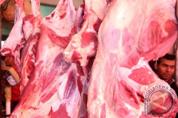 Mesir kembali impor daging dari Brasil