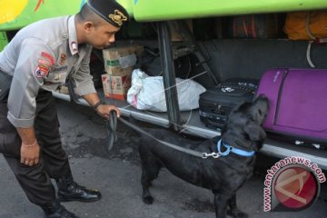 Inspeksi Arus Balik Bali