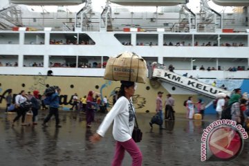 Pelni: ribuan penumpang arus balik "banjiri" Belawan