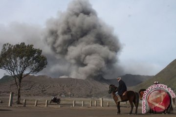 Aktivitas Gunung Bromo masih fluktuatif