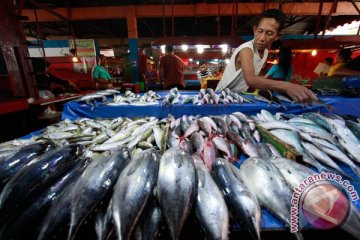 Warga Palu serbu bazar ikan  pasar murah