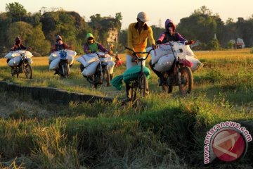 100 foto PFI "Explore South Sulawesi" dipamerkan