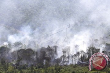 Kebakaran Hutan Dan Lahan Di Muba