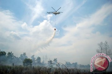 Heli pengebom air gempur karhutla di Pesisir Riau