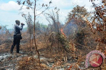 BRG: Indonesia harus jadi pusat pengelolaan gambut