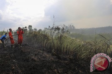 Wagub: Sumsel sudah lewati masa kritis kebakaran hutan