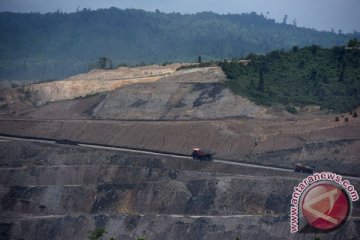 Perusahaan Jerman cari mitra lokal kembangkan gasifikasi batubara