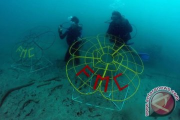 Komunitas Find My Coral