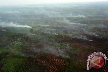 Polda Riau tetapkan dua korporasi tersangka karhutla
