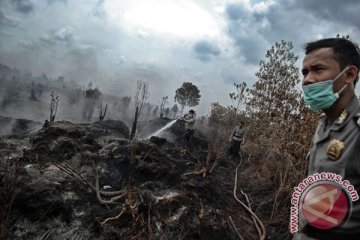 PP 57/2016 berlakukan moratorium lahan gambut