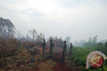 Darmin: Perusahaan sawit dukung pencegahan kebakaran hutan