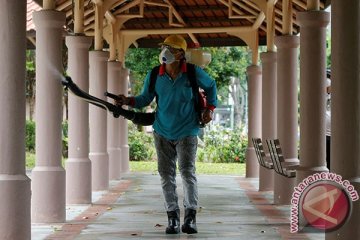 Singapura akui 41 kasus virus Zika asal lokal