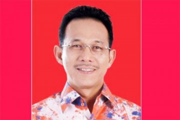 DPR : PLTGU Jawa-1 acuan tender proyek PLN