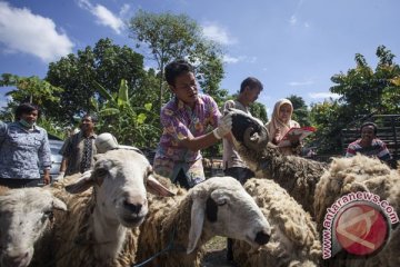 Spirit ibadah kurban dan kesalehan sosial