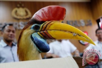 PENYELUNDUPAN SATWA DILINDUNGI