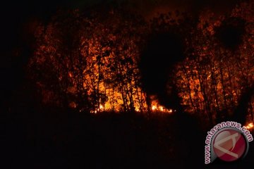 Kebakaran hutan TN Baluran ganggu lalu lintas Pantura