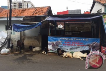 Penjualan kambing kurban di kawasan Kebon Sirih menurun