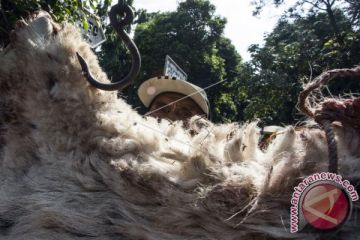 Penjualan Kulit Hewan Kurban
