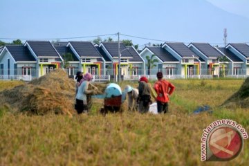 BPN : area persawahan semakin berkurang