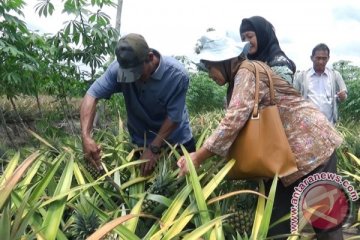 Mantan legislator bidik bisnis agrowisata