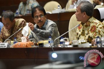 Pemerintah akan sertifikasi lahan sawit petani kecil