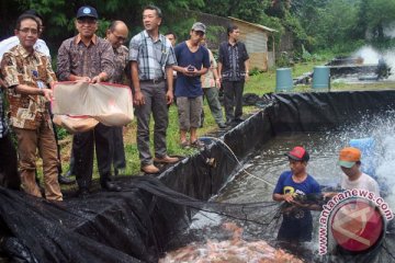 Warga Kampung Dukuh Yogyakarta sulap selokan menjadi kolam ikan