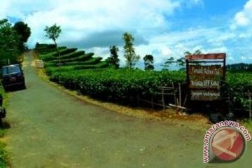 Kulon Progo berlakukan retribusi Rp5.000 di obyek wisata Nglinggo