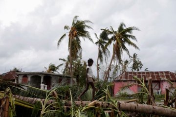 Badai Matthew tewaskan 261 orang di Haiti