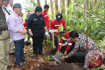 Kunjungan Menteri LHK Di Pulpis