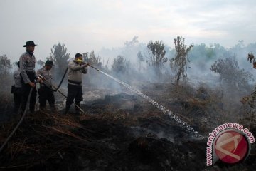 Kebakaran lahan Pelalawan berhasil diatasi