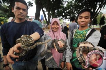 Edukasi Reptil Ular ke Publik