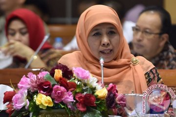 Antisipasi konflik sosial, Kemensos terjunkan tim deteksi dini