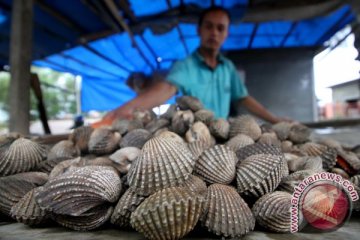 Kerang mengandung plastik ditemukan di Arktik sampai China