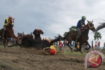 PACUAN KUDA